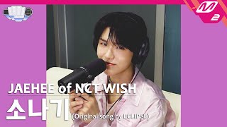 정권 챌린지 소나기  재희 JAEHEE of NCT WISH Original song by ECLIPSE [upl. by Htebazila747]