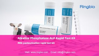 Ringbio Alkaline Phosphatase Rapid Test Strip milk pasteurization rapid test kit [upl. by Anrehs]