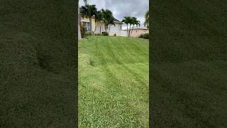 greenyard satisfying lawncare [upl. by Sutit]