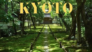 おだやかな夏の京都｜Kyoto vlog｜京都みやげ｜4days Travel Diary｜Kyoto HAUL [upl. by Quillan185]