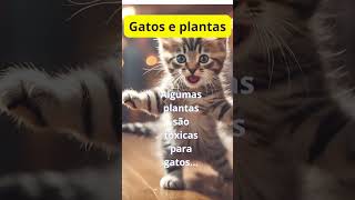 Gatos e plantas gatinhosbrincando cat gatosgraciosos [upl. by Eisseb]