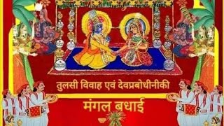 Tulsi Vivah🌱  Dev Uthani Ekadashi govardhan trending PushtiVachanamrut Pushtivrund [upl. by Champagne]