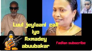 HEESwaa ku arkay waa ku caashaqay luul jeylaani iyo axmadey abuubakar Official Audio [upl. by Demahom814]