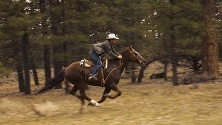 Horseback Riding near Bryce Canyon  Slow Motion [upl. by Correna292]