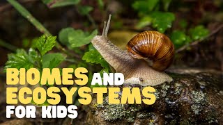 Biomes and Ecosystems for Kids  Learn about the different types of ecosystems and biomes [upl. by Ahsinrat]