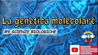 La genetica molecolare Lezione 9 concorso classediconcorsoA050 scienzebiologichesintesiproteica [upl. by Crescen829]