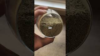 How Does Yerba Mate Work🧉 [upl. by Yaresed]