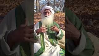 सद्गुरु की ओर से शुभ दीपावली  Deepavali  Sadhguru Sadupdesh ytshorts [upl. by Naj652]