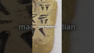 How the Akkadian Empire Changed History foryou history empire facts fypシ゚viral [upl. by Cumine]