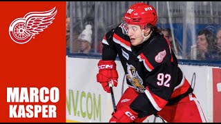 NHL Prospects  Marco Kasper  2324 Highlights [upl. by Pavior584]