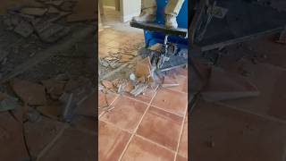 Fast amp Satisfying Beach house flooring removal👀😅 asmr wow fast quick howto diy machine [upl. by Janith]