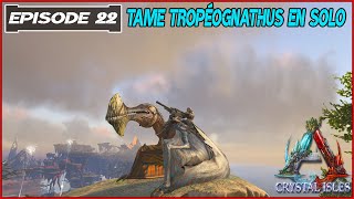 TAME DU TROPEOGNATHUS 22  Ark Crystal Isles FR [upl. by Somar]