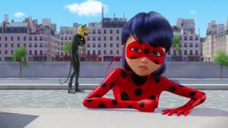 Miraculous  Ladybug cat Noir Moments  Reverser [upl. by Niarda]