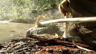 Making Nettle Bow Drill Cordage amp A Difficult Ember [upl. by Kulda391]