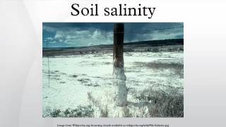 Soil salinity [upl. by Nyrak]