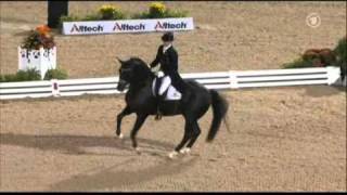 Totilas amp Edward Gal WEG Grand Prix Freestyle [upl. by Assirem54]