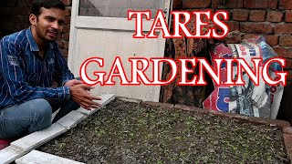 Tares gardening reality check taresgardening [upl. by Nibaj]