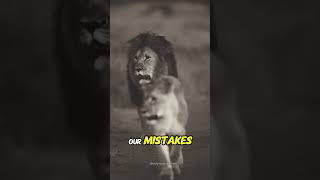 Without pain shorts motivation motivationalspeech quotes mindset motivational [upl. by Etterual]