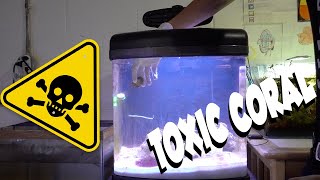 REMOVING MY TOXIC CORAL FROM MY SALTWATER AQUARIUM [upl. by Harifaz]