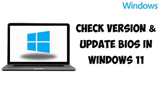 How To Check Version amp Update BIOS In Windows 11 Fast Guide [upl. by Assilanna]