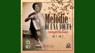 Medley Musica per voi Al cavallino bianco Cover Version [upl. by Ecyoj724]