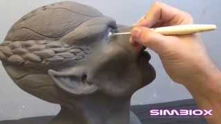 Simbiox Sculpting Armature and Rotomolding [upl. by Shevlo]