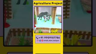 New Agriculture Project Of Animals amp Farming Made By Ronak Store agricultureproject animal farm [upl. by Leora]