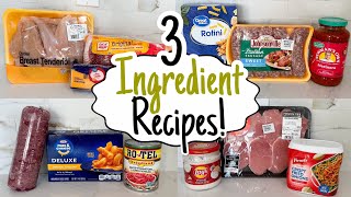 3 INGREDIENT DINNERS  5 Cheap amp Easy Meals You Only Need 3 Ingredients to Make  Julia Pacheco [upl. by Sell]