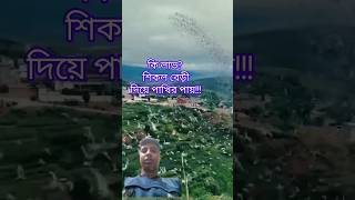 চিকালবাড়ী দিলেই কি আর কাউরে বাইন্দা রাখা যায় গান trending shortvideo viralvideo love [upl. by Ted]