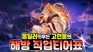 【던파】12월 어둑섬해방 직업티어표 quot대변동quot [upl. by Eilrebma]