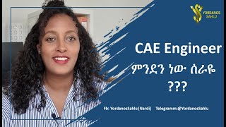 CAE Engineer ስራዬን በትንሹ ልግለጽላችሁ [upl. by Aerdnad]