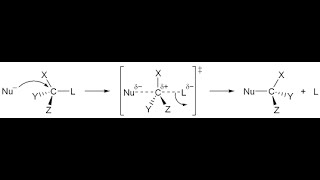 SN2 Reaction Mechanism [upl. by Leva]