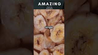 Why Bananas Are Berries… But Strawberries Aren’t 🍌🍓🤯 youtubeshorts [upl. by Radec747]