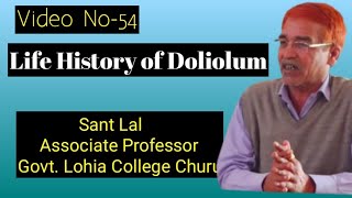 Life History Of Doliolum II MSc Final PaperVVideo No54 II [upl. by Ailisab]