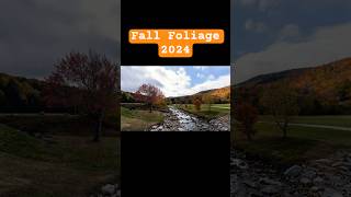 4K Drive New England Fall Foliage shorts travel nature [upl. by Halivah]