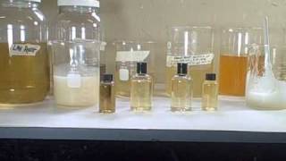 Natural Liquid Soap  Test Batches [upl. by Esilrac]