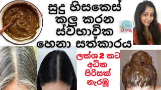 Natural Henna Treatment to cover grey hair  ස්වභාවිකව සුදු හිසකෙස් කලු කරන හෙනා සත්කාරය henna [upl. by Annil456]