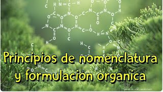 Nomenclatura y formulación orgánica [upl. by Piggy]