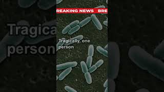 The E coli Strain Linked to McDonalds Quarter Pounders What You Need to Know breakingnews news [upl. by Kletter]