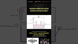 Percobaan Membuktikan Larutan Elektrolit dan Non Elektrolit [upl. by Ossy]