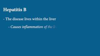 Liver Disease  Hepatitis B [upl. by Adamo264]