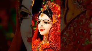 Shree radhe harekrishna radheradhe radhakrishna bihariji youtubeshorts [upl. by Omolhs340]