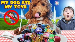 Our GOLDEN DOODLE Puppy is a MENACE She ate our new minifigs FV Family Callie Vlog [upl. by Elianore]