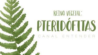 PTERIDÓFITAS  Reino Vegetal [upl. by Roehm893]