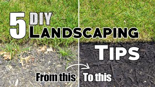 5 Cheap amp Easy DIY Landscaping Tips amp Ideas Plus Bonus Tips 🌱 [upl. by Tnek]