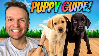 Puppy TRAINING  The FIRST 5 Things To Teach Any Puppy [upl. by Moazami]