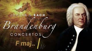 Johann Sebastian Bach Brandenburg Concertos part I BWV 1046–1051 [upl. by Nnodnarb]