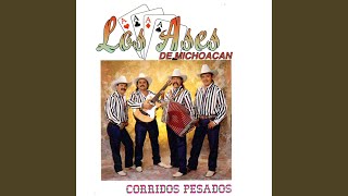 Corrido de la Pochita [upl. by Tem361]