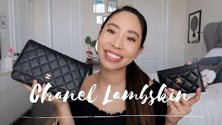 1 Year Chanel Lambskin Experience Ft New Style WOC amp Card Holder [upl. by Annuahsal519]