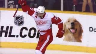 Pavel Datsyuk FULL NHL Career Highlights 20012016 [upl. by Nediarb]